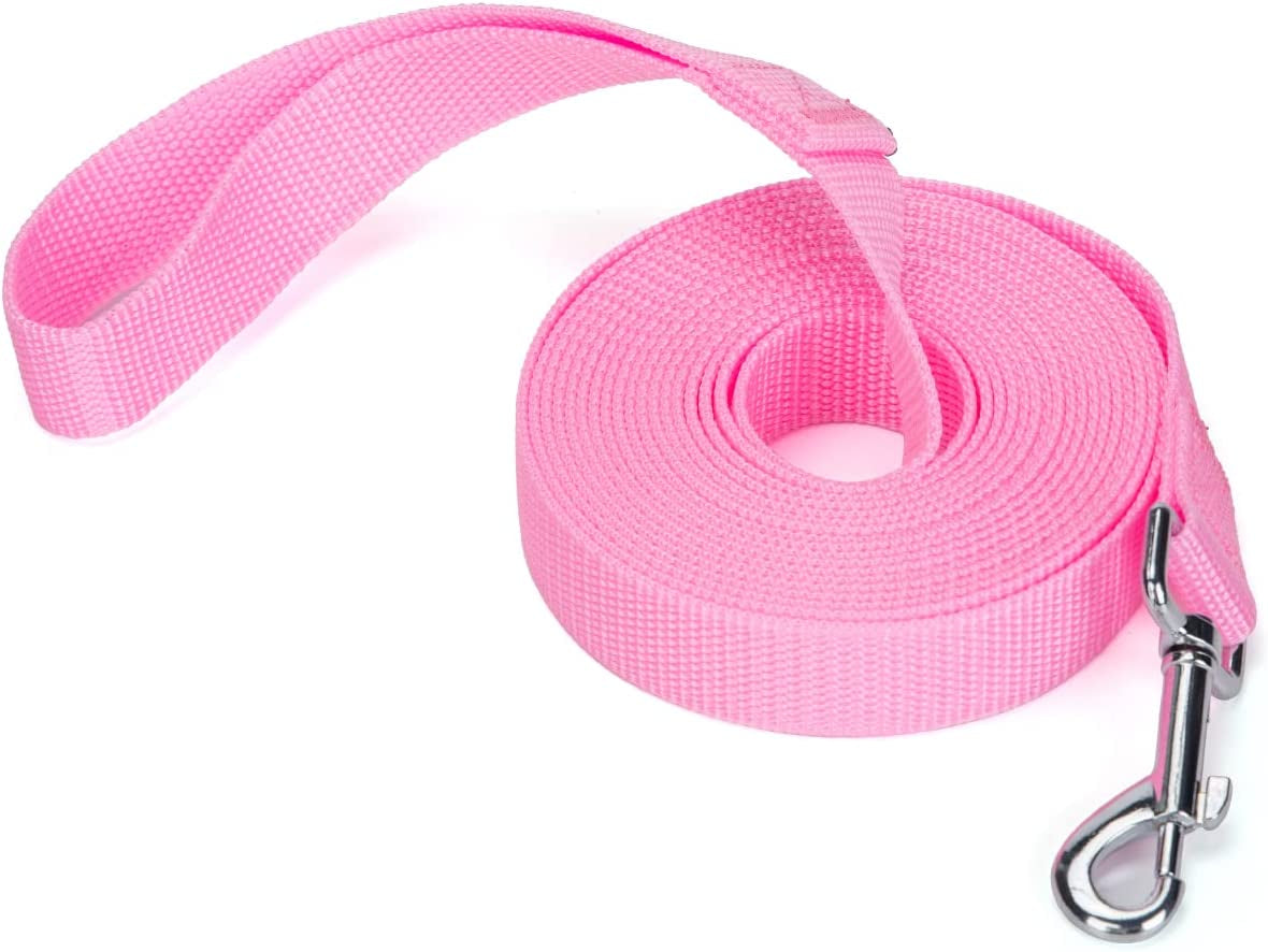 Strong Durable Nylon Dog Training Leash, Traction Rope, 10 Feet Long, 1 Inch Wide, for Small and Medium Dog 