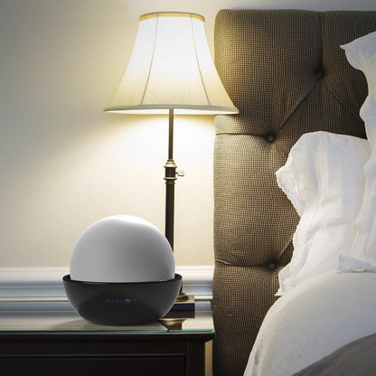 Set of 2 Ceramic Stone Humidifiers