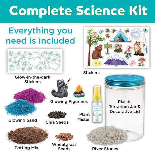 Creativity for Kids Grow N’ Glow Terrarium – Child Craft Activity for Boys and Girls