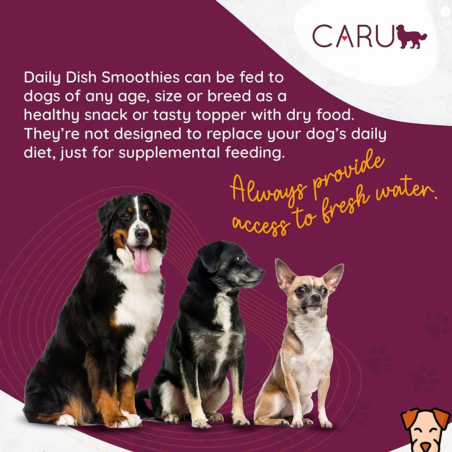 Caru - Daily Dish Smoothies - Lickable Chicken Dog Treat - 4 Pack.5oz Tubes