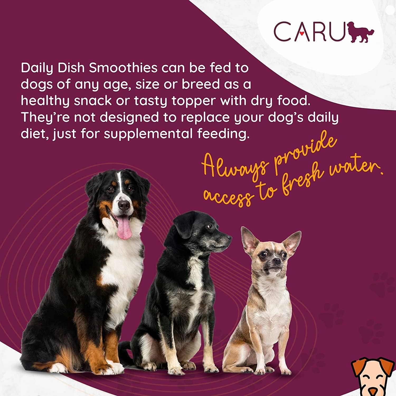 Caru - Daily Dish Smoothies - Lickable Chicken Dog Treat - 4 Pack.5oz Tubes