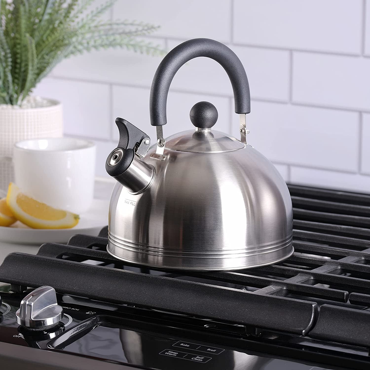Mr. Coffee Stainless Steel Whistling Tea Kettle