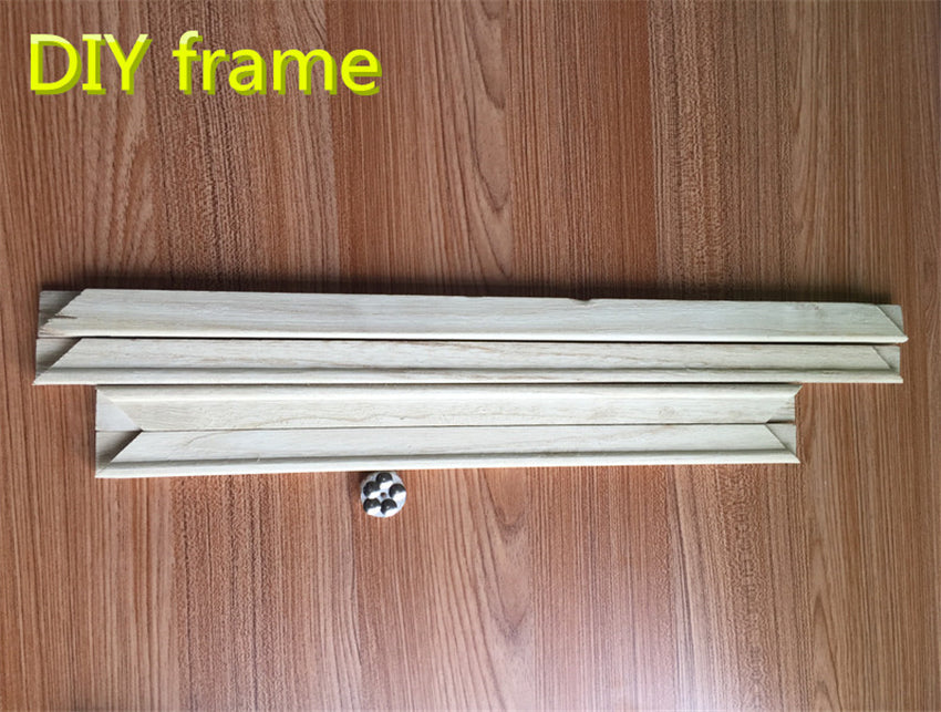 DYI Framed Picture Painting