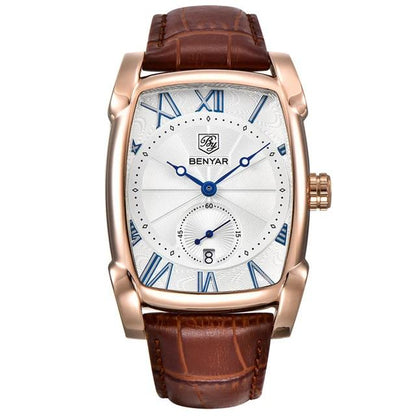 Men's Luxury Watch 30m Waterproof