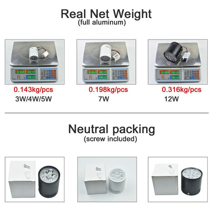 Surface Mounted LED Ceiling Lights Lamps