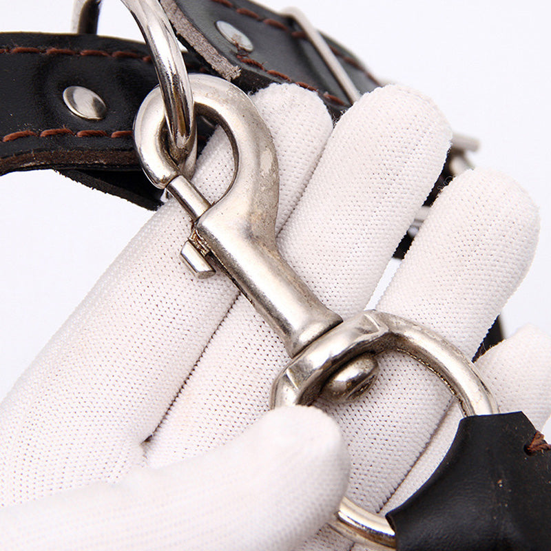 Leather Dog Training Pet Leash with Spring Buffer to Decrease Pull Tension
