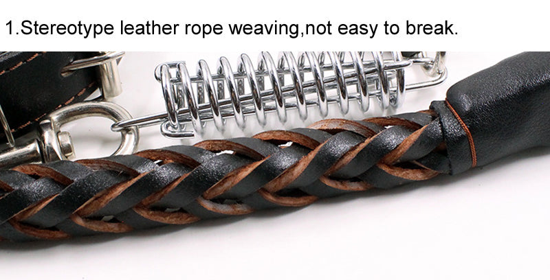 Leather Dog Training Pet Leash with Spring Buffer to Decrease Pull Tension